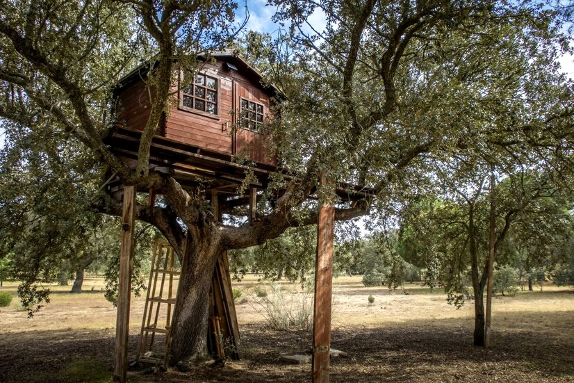 foto de una casa en un árbol para descargar los planos gratis